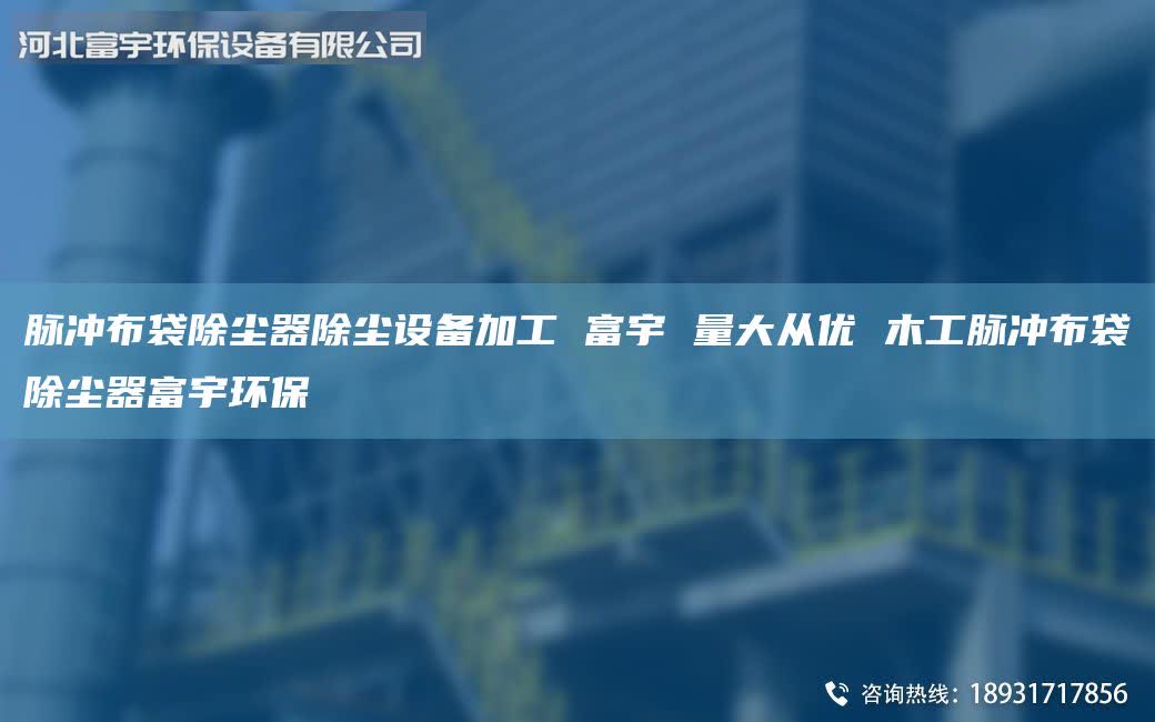 脈沖布袋除塵器除塵設(shè)備加工 富宇 量大從優(yōu) 木工脈沖布袋除塵器富宇環(huán)保