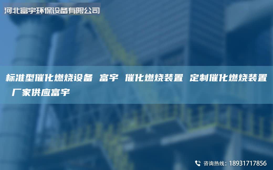 標準型催化燃燒設備 富宇 催化燃燒裝置 定制催化燃燒裝置 廠家供應富宇