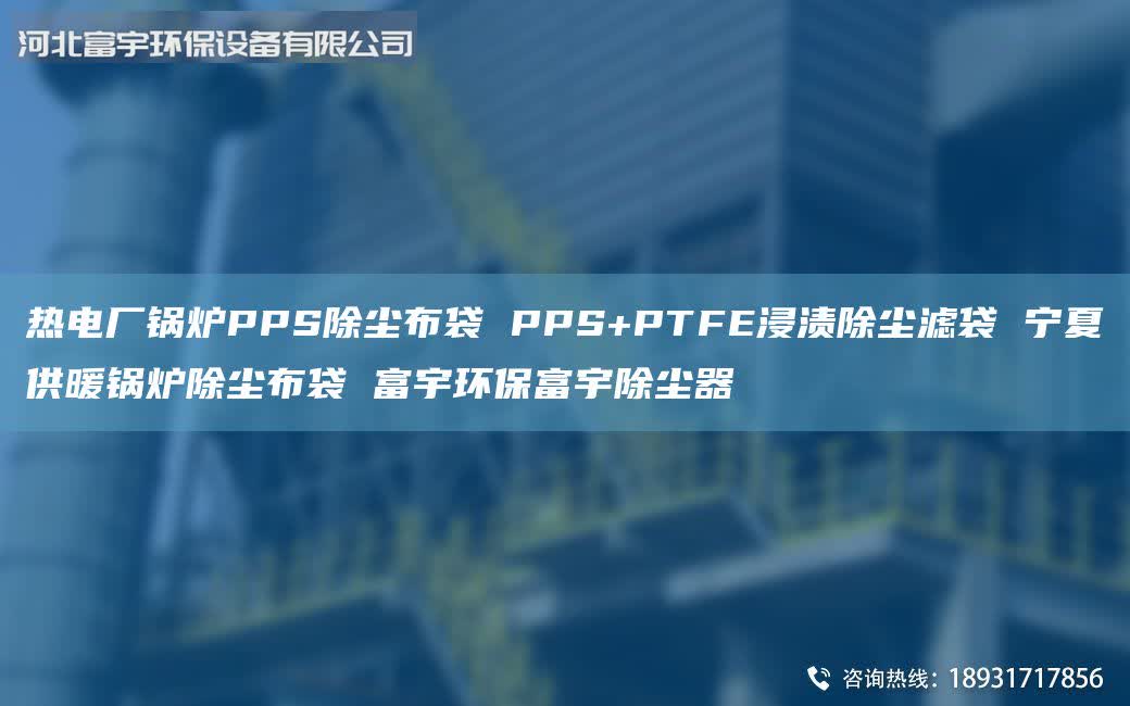 熱電廠鍋爐PPS除塵布袋 PPS+PTFE浸漬除塵濾袋 寧夏供暖鍋爐除塵布袋 富宇環(huán)保富宇除塵器