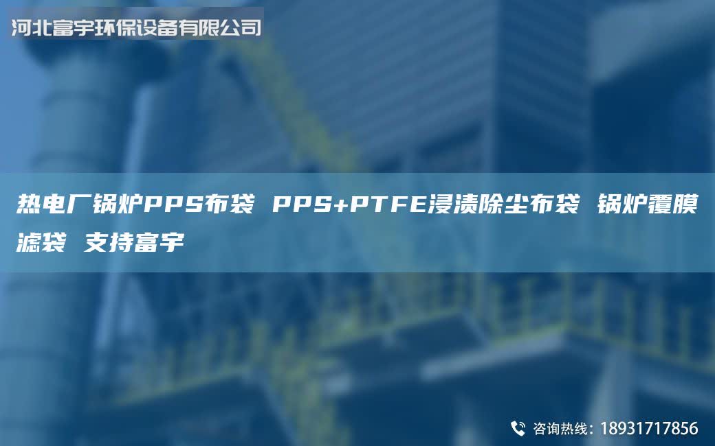 熱電廠鍋爐PPS布袋 PPS+PTFE浸漬除塵布袋 鍋爐覆膜濾袋 支持富宇