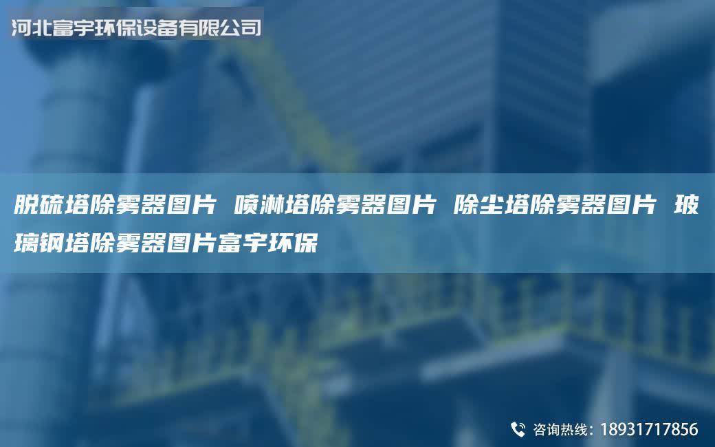 脫硫塔除霧器圖片 噴淋塔除霧器圖片 除塵塔除霧器圖片 玻璃鋼塔除霧器圖片富宇環(huán)保