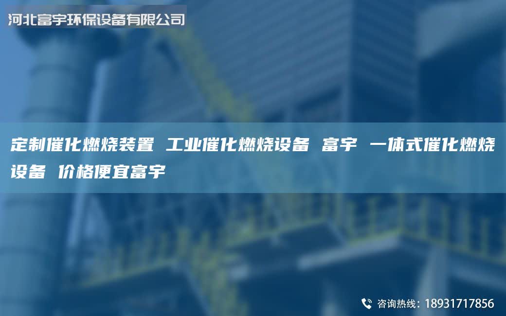 定制催化燃燒裝置 工業(yè)催化燃燒設(shè)備 富宇 一體式催化燃燒設(shè)備 價格便宜富宇