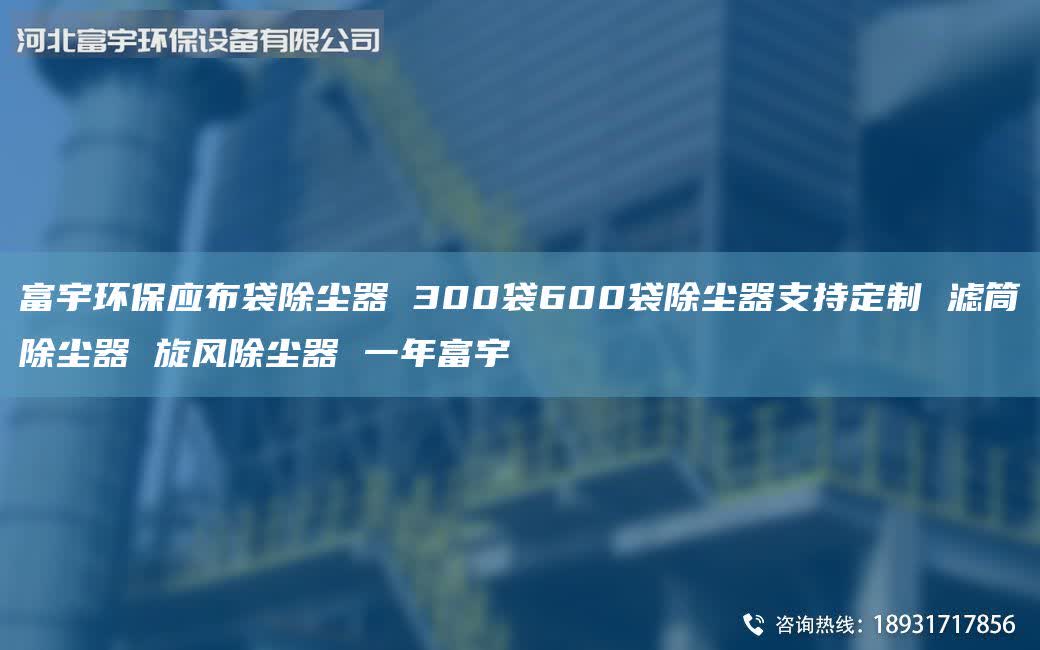 富宇環(huán)保應(yīng)布袋除塵器 300袋600袋除塵器支持定制 濾筒除塵器 旋風(fēng)除塵器 一年富宇