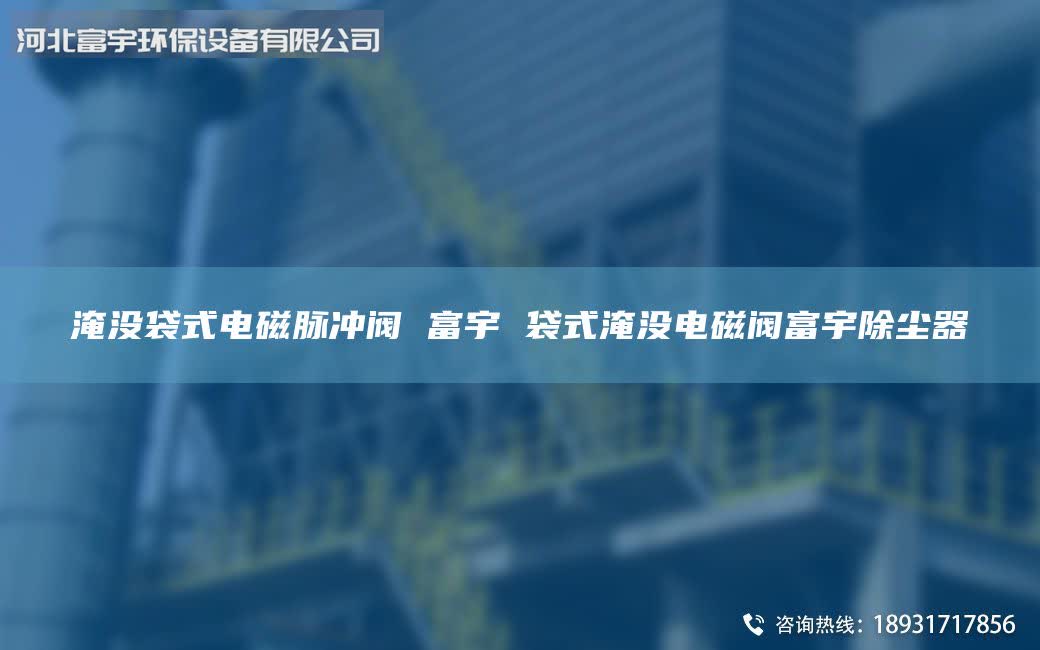 淹沒袋式電磁脈沖閥 富宇 袋式淹沒電磁閥富宇除塵器