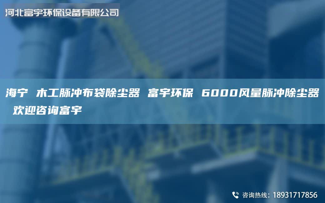 海寧 木工脈沖布袋除塵器 富宇環(huán)保 6000風量脈沖除塵器 歡迎咨詢富宇
