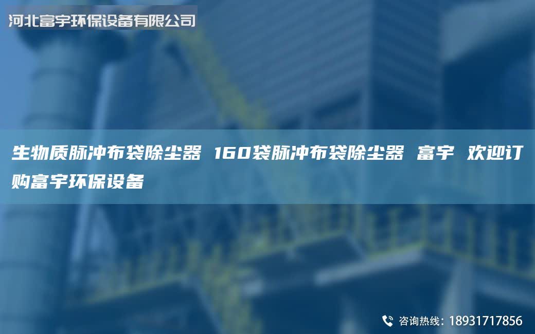 生物質(zhì)脈沖布袋除塵器 160袋脈沖布袋除塵器 富宇 歡迎訂購富宇環(huán)保設(shè)備