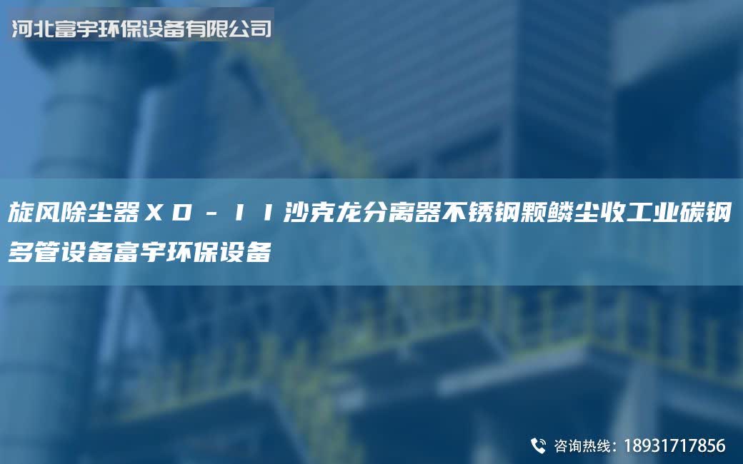 旋風(fēng)除塵器ＸＤ－ＩＩ沙克龍分離器不銹鋼顆鱗塵收工業(yè)碳鋼多管設(shè)備富宇環(huán)保設(shè)備
