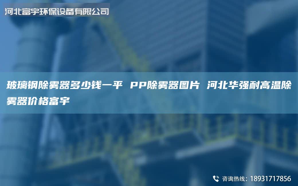 玻璃鋼除霧器多少錢一平 PP除霧器圖片 河北華強(qiáng)耐高溫除霧器價(jià)格富宇