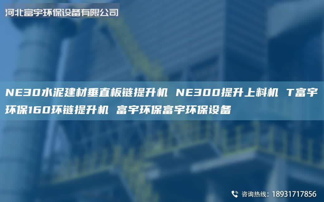 NE30水泥建材垂直板鏈提升機 NE300提升上料機 T富宇環(huán)保160環(huán)鏈提升機 富宇環(huán)保富宇環(huán)保設備