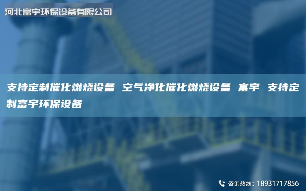 支持定制催化燃燒設備 空氣凈化催化燃燒設備 富宇 支持定制富宇環(huán)保設備