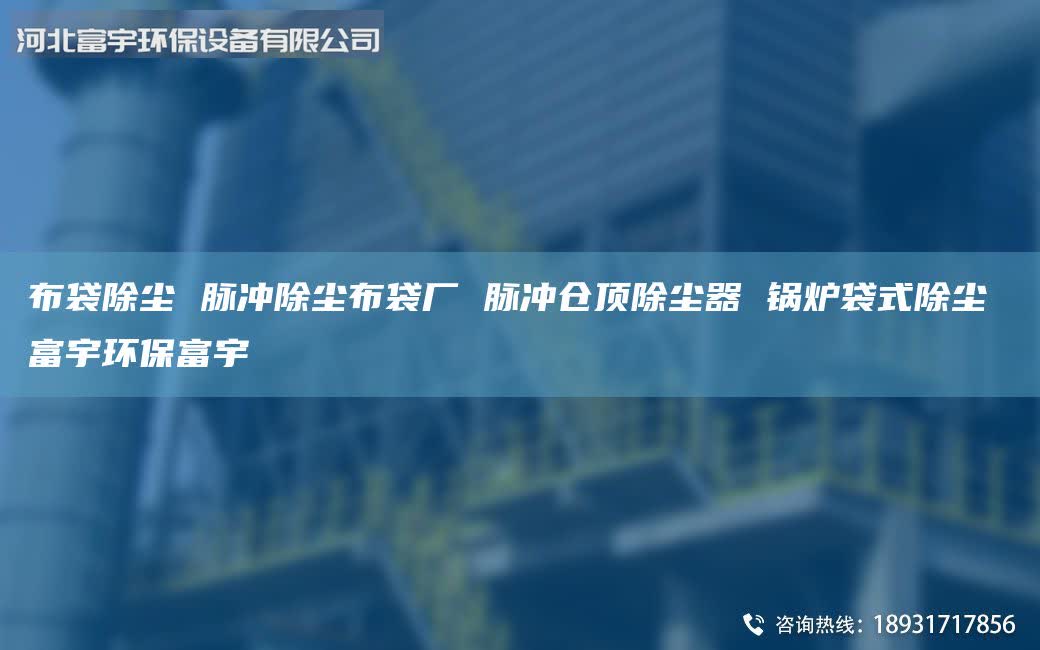 布袋除塵 脈沖除塵布袋廠 脈沖倉頂除塵器 鍋爐袋式除塵 富宇環(huán)保富宇