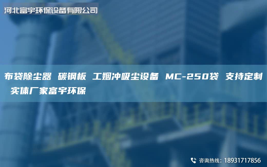 布袋除塵器 碳鋼板 工姻沖吸塵設(shè)備 MC-250袋 支持定制 實(shí)體廠家富宇環(huán)保