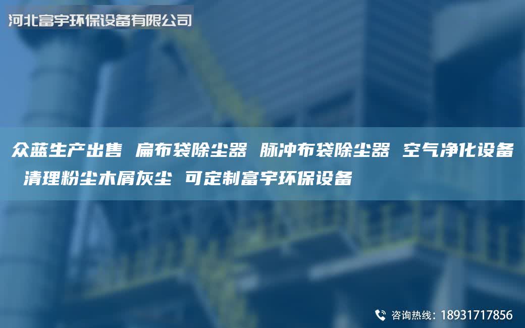 眾藍生產(chǎn)出售 扁布袋除塵器 脈沖布袋除塵器 空氣凈化設備 清理粉塵木屑灰塵 可定制富宇環(huán)保設備