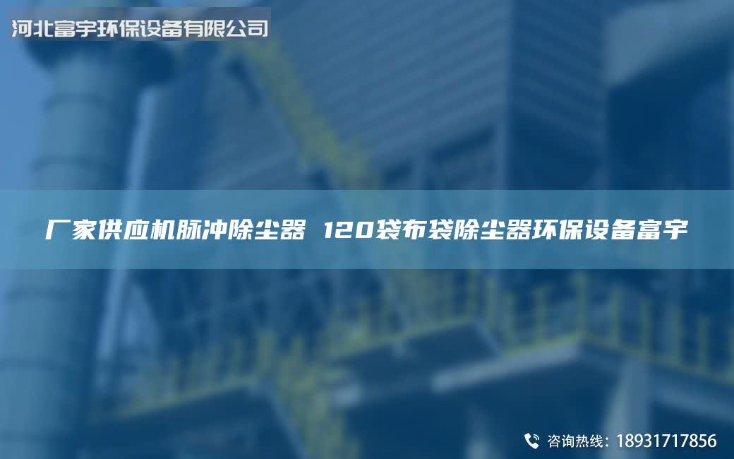 廠家供應(yīng)機(jī)脈沖除塵器 120袋布袋除塵器環(huán)保設(shè)備富宇