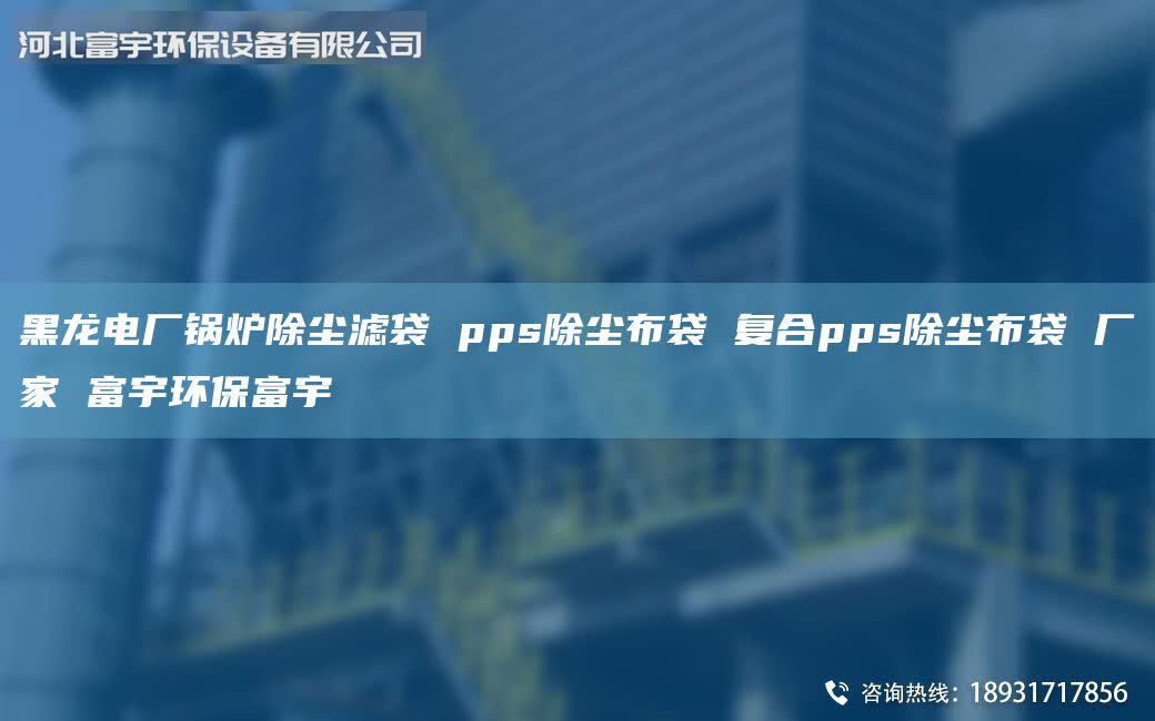 黑龍電廠鍋爐除塵濾袋 pps除塵布袋 復(fù)合pps除塵布袋 廠家 富宇環(huán)保富宇