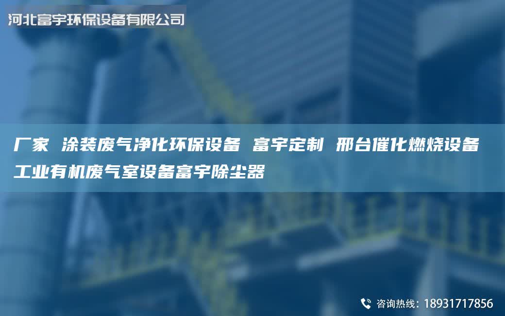 廠家 涂裝廢氣凈化環(huán)保設(shè)備 富宇定制 邢臺(tái)催化燃燒設(shè)備 工業(yè)有機(jī)廢氣室設(shè)備富宇除塵器