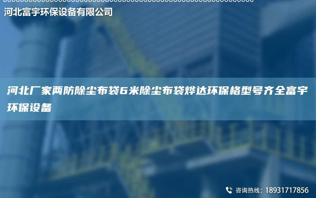 河北廠家兩防除塵布袋6米除塵布袋燁達環(huán)保格型號齊全富宇環(huán)保設(shè)備