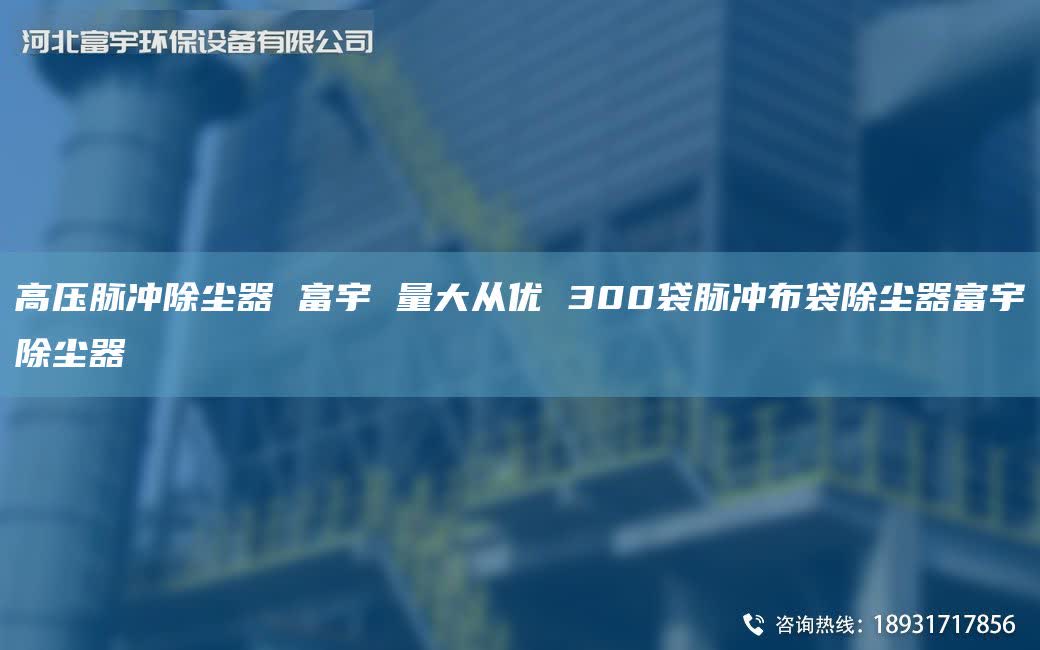 高壓脈沖除塵器 富宇 量大從優(yōu) 300袋脈沖布袋除塵器富宇除塵器