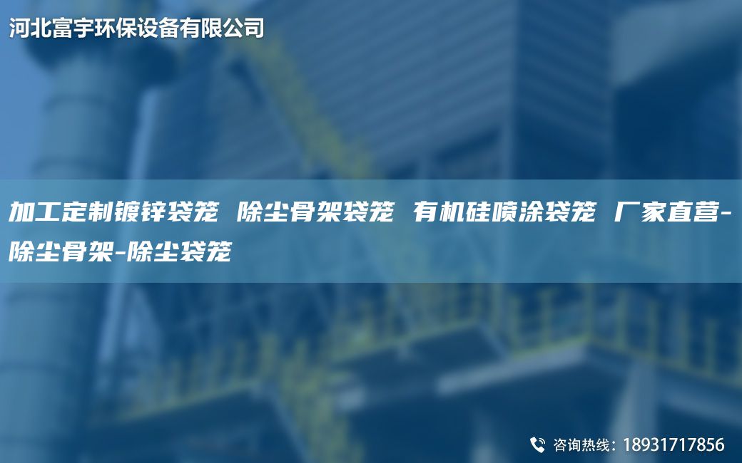 加工定制鍍鋅袋籠 除塵骨架袋籠 有機(jī)硅噴涂袋籠 廠家直營-除塵骨架-除塵袋籠