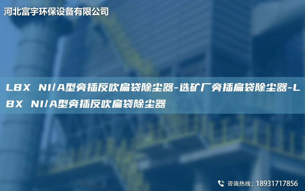 LBX NI/A型旁插反吹扁袋除塵器-選礦廠旁插扁袋除塵器-LBX NI/A型旁插反吹扁袋除塵器