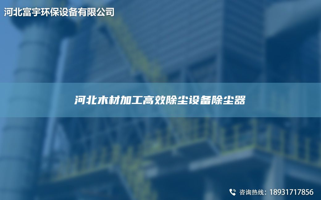 河北木材加工高效除塵設(shè)備除塵器