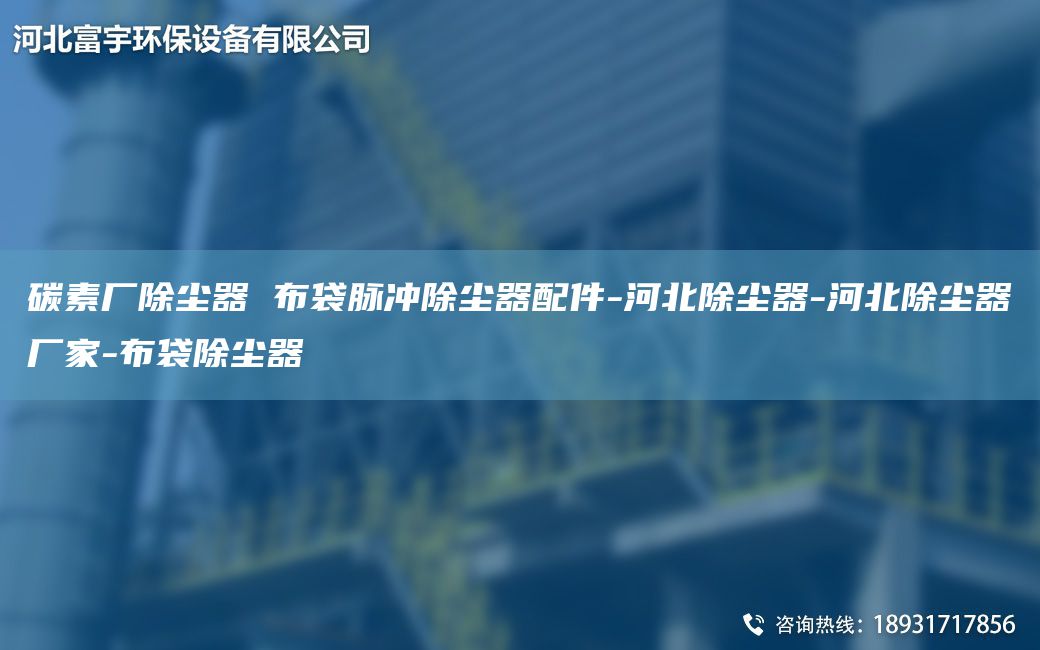 碳素廠除塵器 布袋脈沖除塵器配件-河北除塵器-河北除塵器廠家-布袋除塵器
