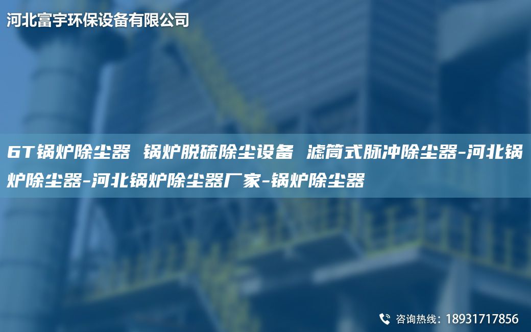 6T鍋爐除塵器 鍋爐脫硫除塵設(shè)備 濾筒式脈沖除塵器-河北鍋爐除塵器-河北鍋爐除塵器廠家-鍋爐除塵器