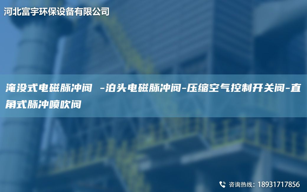淹沒式電磁脈沖閥 -泊頭電磁脈沖閥-壓縮空氣控制開關(guān)閥-直角式脈沖噴吹閥