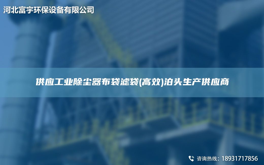 供應(yīng)工業(yè)除塵器布袋濾袋(高效)泊頭生產(chǎn)供應(yīng)商