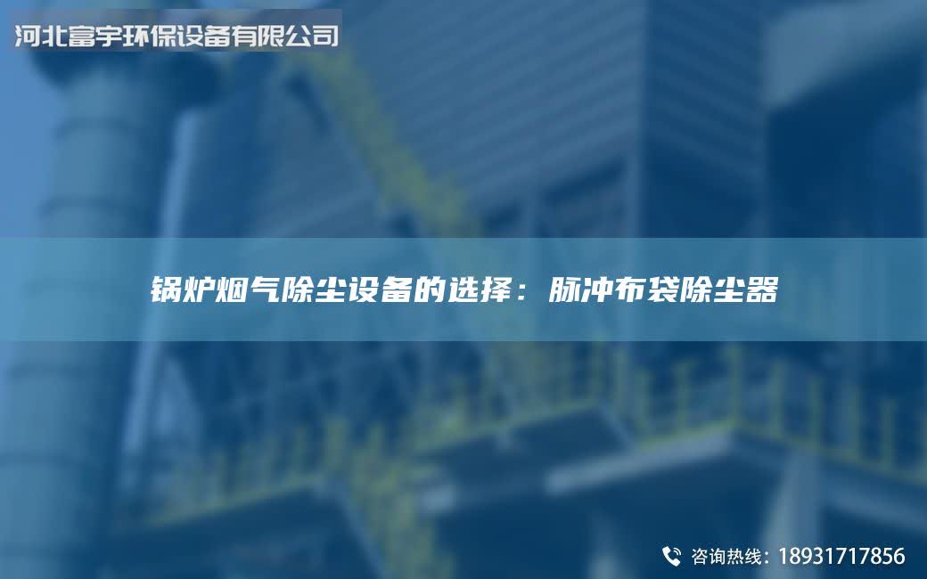 鍋爐煙氣除塵設(shè)備的選擇：脈沖布袋除塵器